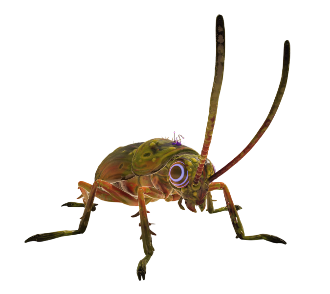 O.R.C. Cockroach Queen